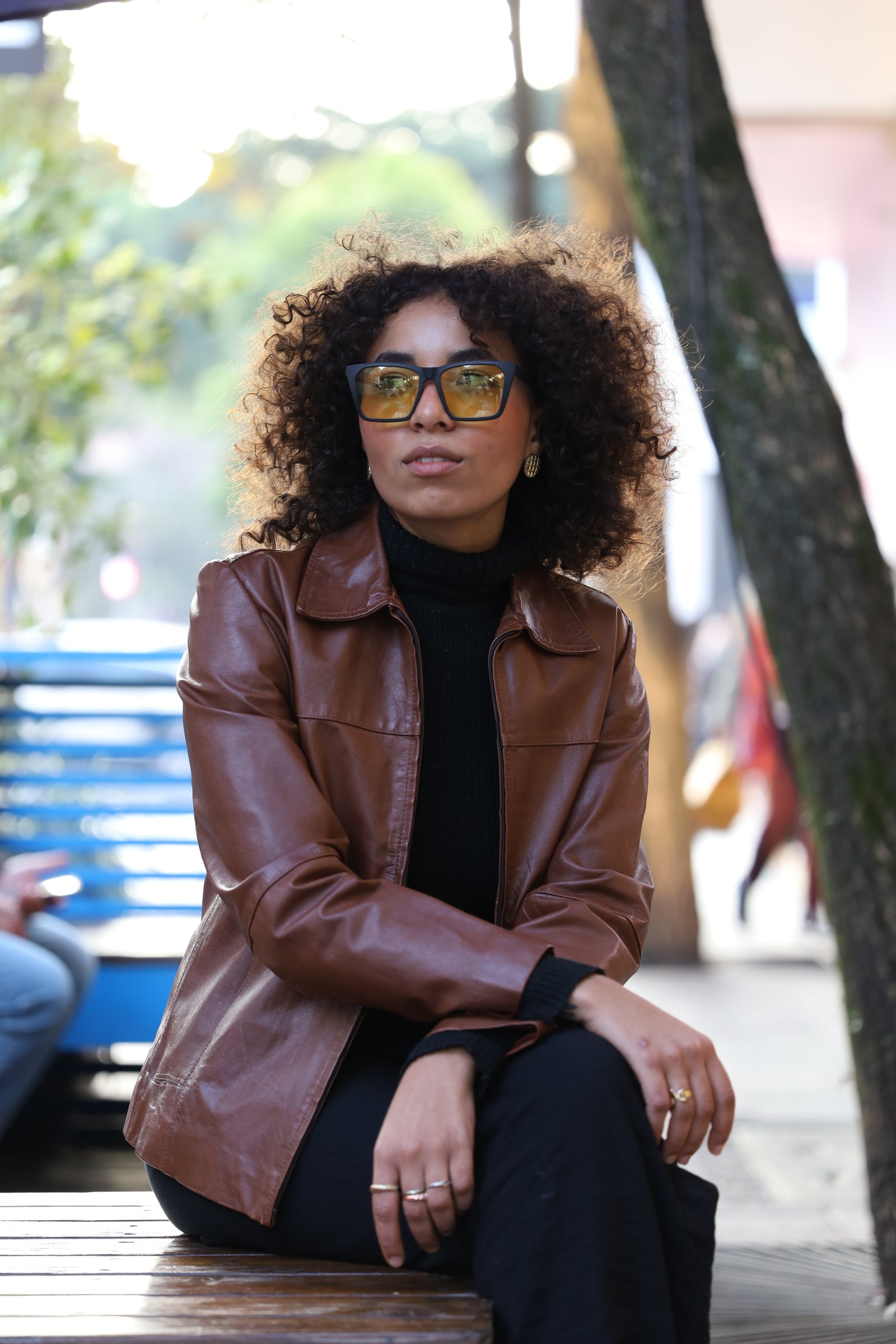 Modelo usando YoFace